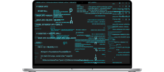 Custom_software_development