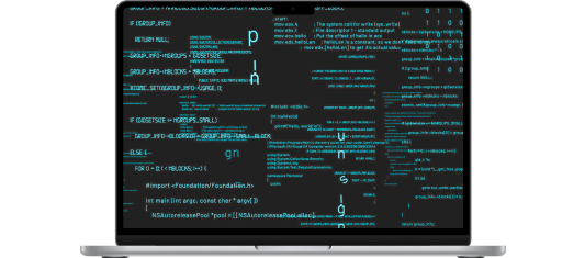 Desarrollo de software a la medida
